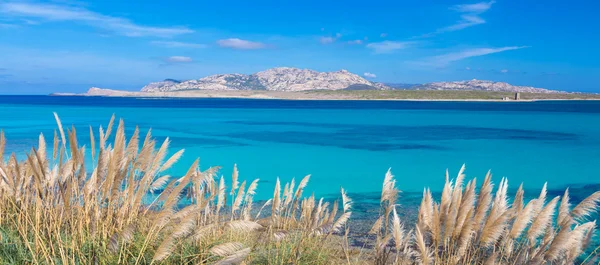 Playa de Pelosa, Cerdeña, Italia . — Foto de Stock