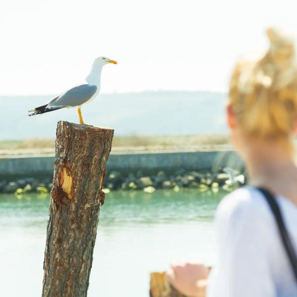 Woman watching seagull in summertime. — Stock Photo, Image
