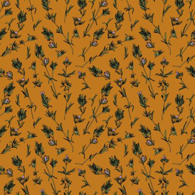 Kekik. Bitkisel dikişsiz desen. Kumaş, tekstil, duvar kağıdı, ambalaj için tasarım.