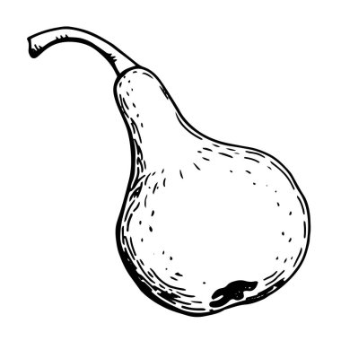 Armut. Çizgi çalışması. Elle çizilmiş illüstrasyon. Beyaz arka plan, tecrit. Stok illüstrasyonu.