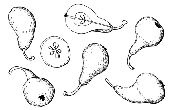 Graficzny Zestaw Gruszek Całe Owoce Połówki Sztuka Linii Białe Tło — Wektor stockowy