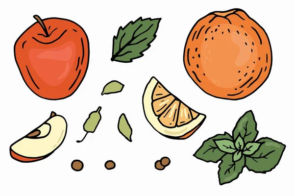 Christmas Set Fruits Mint Apple Orange Spices Doodle Style White — Stock Vector