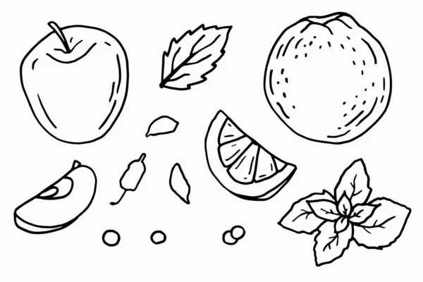 Fruits Épices Noël Art Linéaire Illustration Fond Blanc Isolat — Image vectorielle