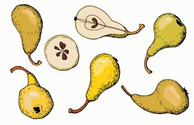 Farklı açılarda armut seti. Beyaz arka plan, tecrit. El çizimi illüstrasyon.