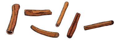 Tarçın baharat seti. El çizimi illüstrasyonu. Beyaz arka plan, tecrit. Stok illüstrasyonu.