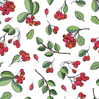 Böğürtlensiz desen. Beyaz arka planda kırmızı böğürtlen. Kumaş, tekstil, duvar kağıdı, ambalaj için tasarım.