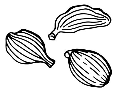 Doğrusal kakule seti. Beyaz arka plan, tecrit. Vektör illüstrasyonu.