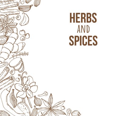 El yapımı otlar ve baharatlarla vektör arkaplan. Organik ve taze baharat çizimi.