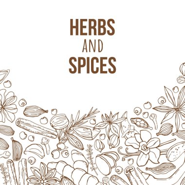 El yapımı otlar ve baharatlarla vektör arkaplan. Organik ve taze baharat çizimi.