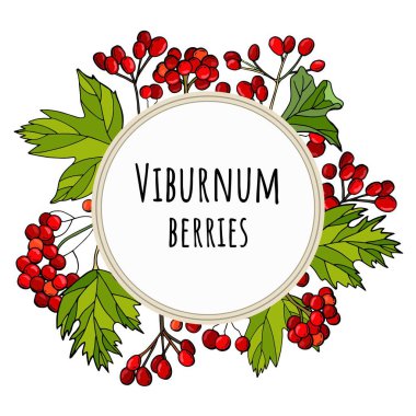 Yuvarlak çerçeve, kırmızı böğürtlen ve viburnum yapraklarıyla. Viburnum böğürtlen yazıları. Davetiyeler, ambalajlar, tebrik kartları için şablon.