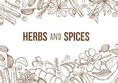 El yapımı otlar ve baharatlarla vektör arkaplan. Organik ve taze baharat çizimi.