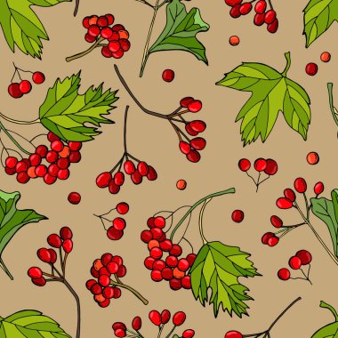 Viburum dutlu kusursuz desen. Elle çizilmiş illüstrasyon. Kumaş, ambalaj, tekstil, duvar kağıdı için tasarım.