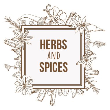 Organik ve doğal eskiz bitkileri ve baharatlarla el çizimi arka plan.