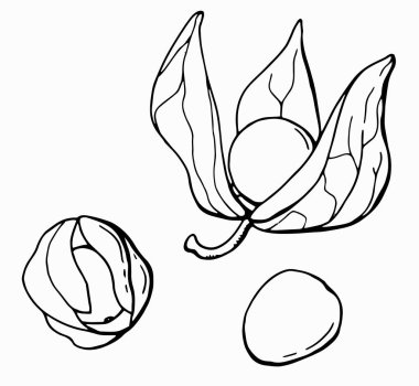 Felsefe takımının doğrusal çizimi. Çizgi çalışması. Beyaz arka plan, tecrit. Vektör illüstrasyonu.