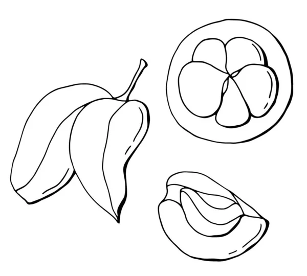 Conjunto Lineal Mangostán Fruta Rota Hoja Arte Línea Fondo Blanco — Vector de stock