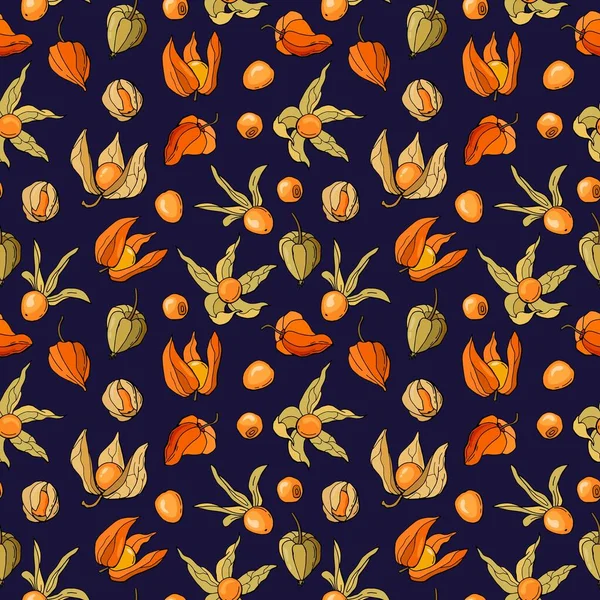 Hand Drawn Seamless Pattern Physalis Berries Design Fabric Textile Wallpaper — Stock Vector