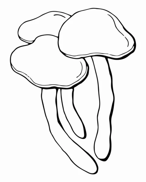 Liniowy Zestaw Grzybów Miodowych Agarics Białe Tło Izolacja Ilustracja Wektora — Wektor stockowy