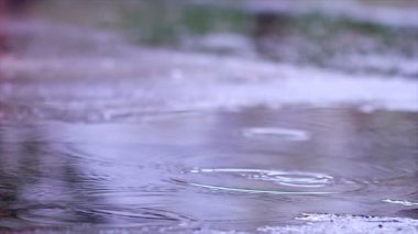 Yavaş çekimde yağmur damlaları asfalta dökülüyor. Arka planda Yağmur Damlaları var. Kızıl Efsane Ejder Kamerası ile çekim yap.