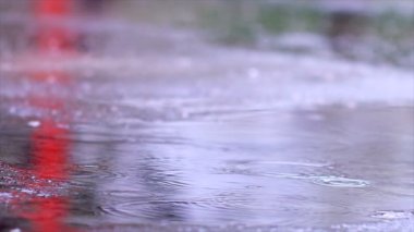 Yavaş çekimde yağmur damlaları asfalta dökülüyor. Arka planda Yağmur Damlaları var. Kızıl Efsane Ejder Kamerası ile çekim yap.
