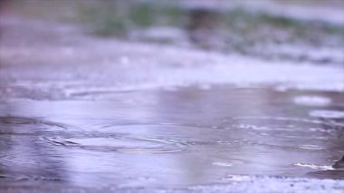 Yavaş çekimde yağmur damlaları asfalta dökülüyor. Arka planda Yağmur Damlaları var. Kızıl Efsane Ejder Kamerası ile çekim yap.