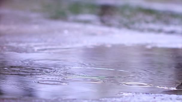 Lluvia Cámara Lenta Primer Plano Gotas Cayendo Charco Sobre Asfalto — Vídeos de Stock