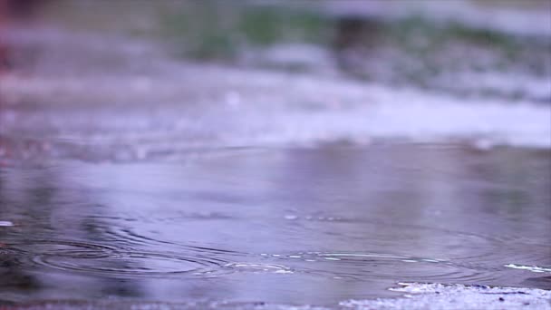 Powolny Ruch Zbliżenie Deszcz Krople Spadające Kałuży Asfalcie Krople Wody — Wideo stockowe