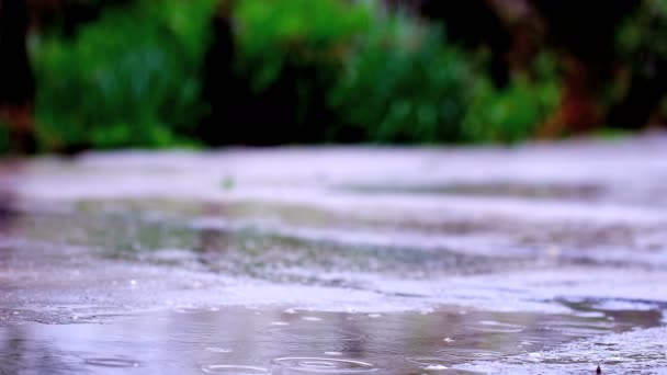 スローモーションクローズアップ雨アスファルトの上に水たまりに落ちるドロップします 雨の水通りの映像の背景にドロップします レッド エピック ドラゴンのカメラで撃つ — ストック動画