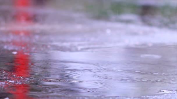 Slow Motion Close Regendruppels Vallen Plas Asfalt Regen Water Druppels — Stockvideo