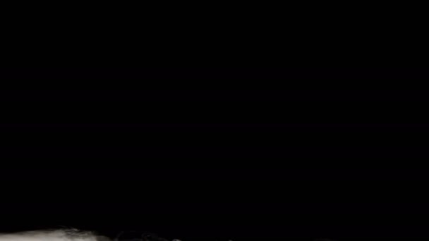 Siyah Arka Planda Duman Patlaması Görüntüsü Kızıl Efsane Ejder Kamerası — Stok video