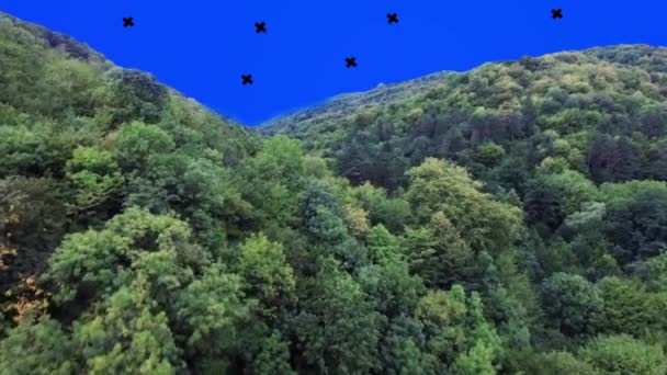 Volar sobre la pantalla azul del bosque — Vídeos de Stock