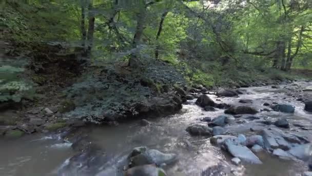 Fly Over Mountains River — Stock video