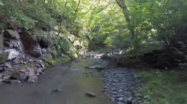 Geniş Nehirde Balıkçılık