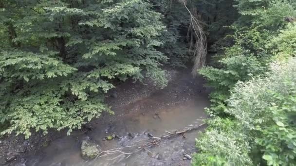 Hombre triste en la naturaleza — Vídeos de Stock