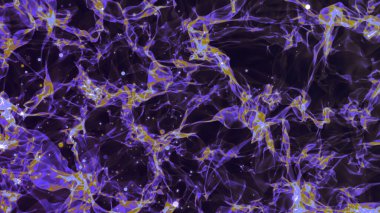 Sihirli Dalgalanan Yumuşak Perde Arkaplanı