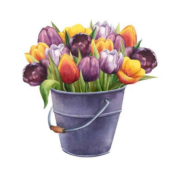 Bouquet Multicolored Tulips Vintage Metal Bucket Watercolor Illustration Bunch Flowers — Stock Photo, Image