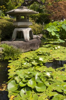 Japon fener lotos yaprakları ile