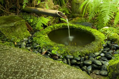 Japon su bambu çeşme