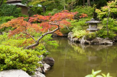 Gölet yakınındaki Japon fener