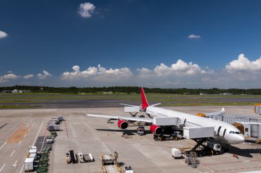 Uçak Narita Havaalanı, Japonya