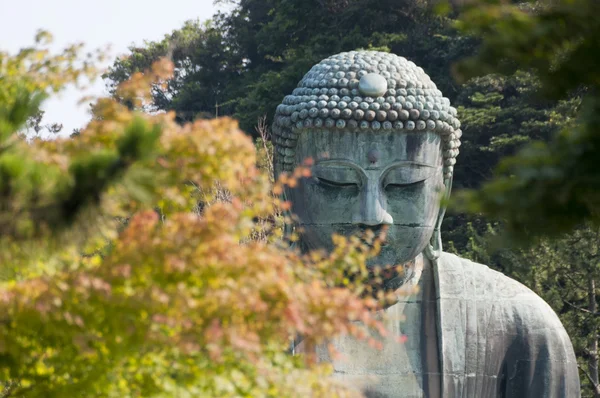 Daibucu nebo Amida Buddha v chrámu Kotokuin, Japonsko — Stock fotografie