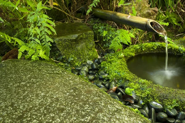 Japon su bambu çeşme