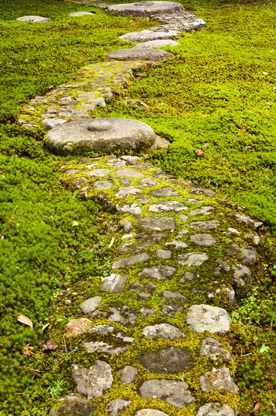 Caminho do jardim pavimentado com pedras grandes — Fotografia de Stock