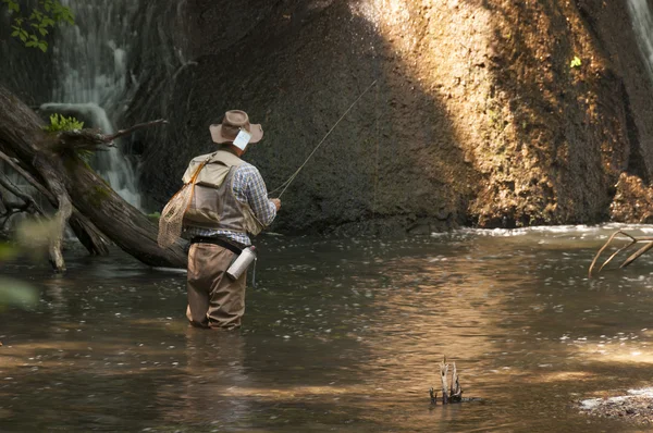 Senior fisherman catching fishes in fresh stream — Stock Photo, Image