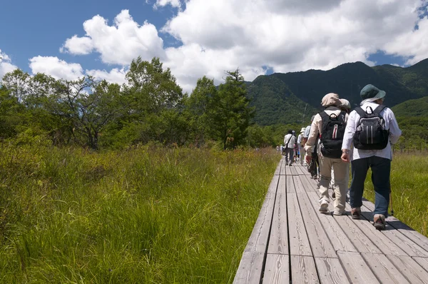 Senior toeristen wandelen in de natuur — Stockfoto