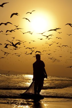 Omani balıkçılar balıkları sudan net dolu çekme