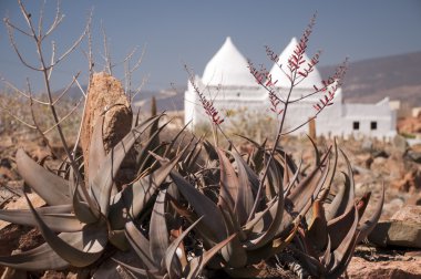 Peygamber Bin Ali Türbesi