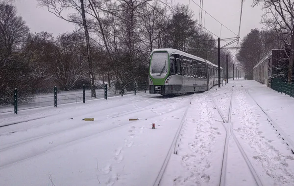 Ганновере Германия Снежную Погоду Сорвался Трамвай — стоковое фото