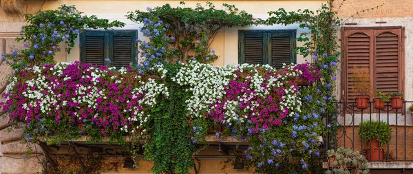 Balcones en la plaza Navona —  Fotos de Stock