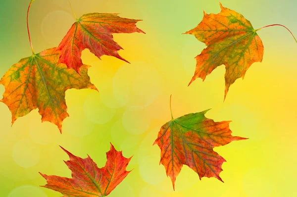 Abstract Geel Groen Oranje Blauwe Achtergrond Met Wazige Vlekken Herfst — Stockfoto