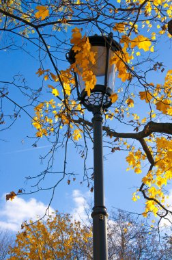 Sonbahar ağaçlarının arka planında sarı yapraklı ve mavi gökyüzlü şehir lambası.